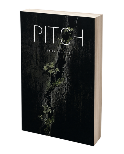 Pitch Book 1 Coming Soon Pitch Book 1 Coming Soon