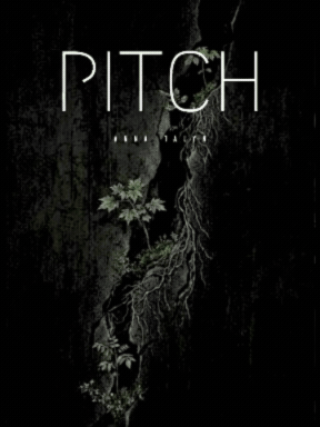 Pitch Book 1
